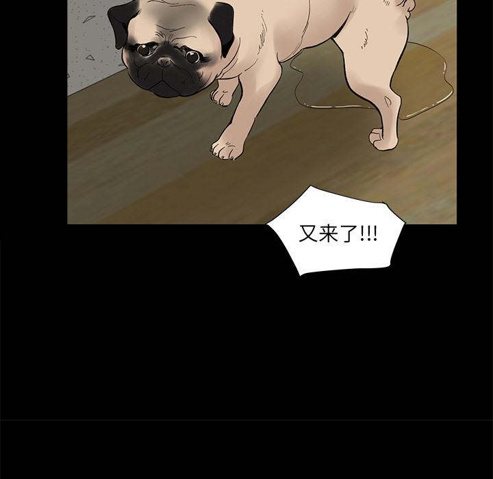 韩道修韩道修：5P14