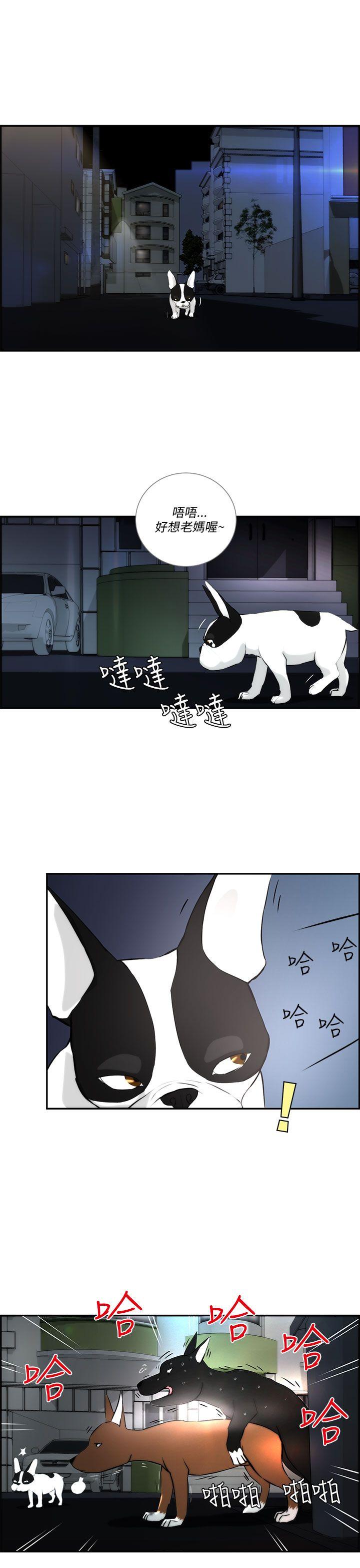 变成狗的男人第3话P7