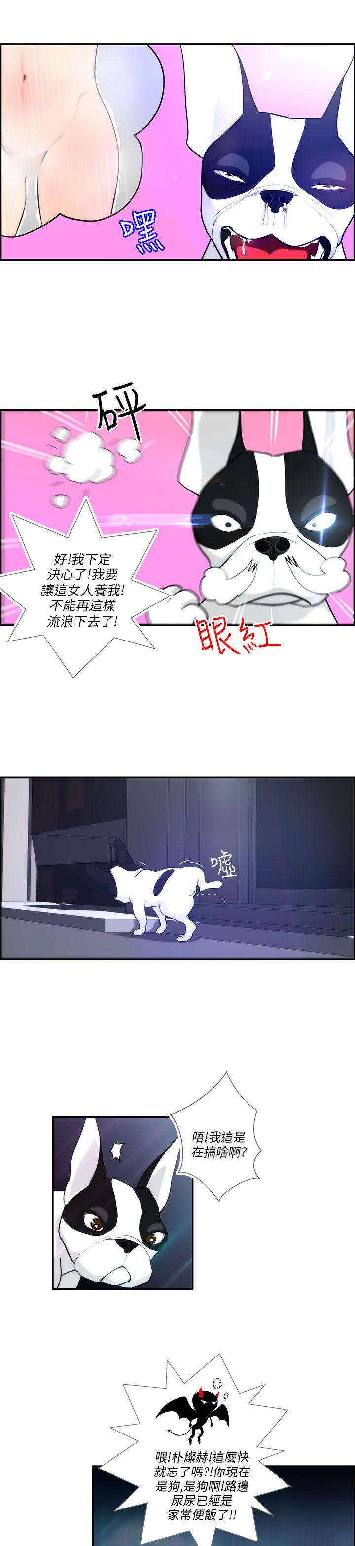 变成狗的男人第4话P5