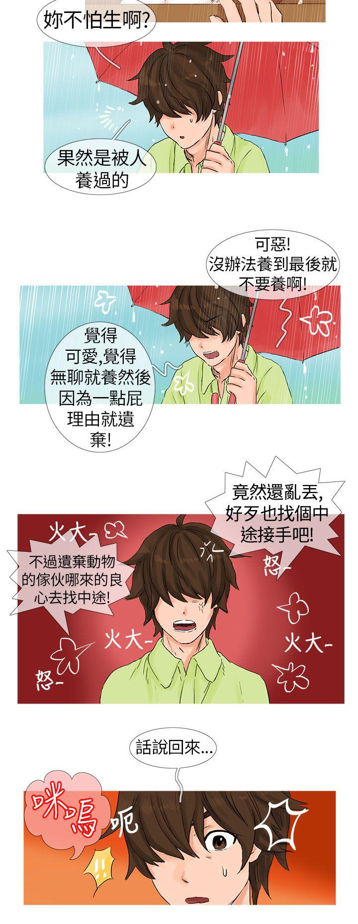 小野猫驯服手册第1话P6