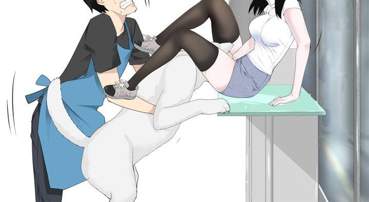 为爱而生 法兰克赵第3话P8