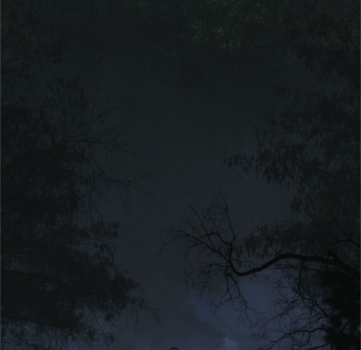 她的召唤兽她的召唤兽：3P48