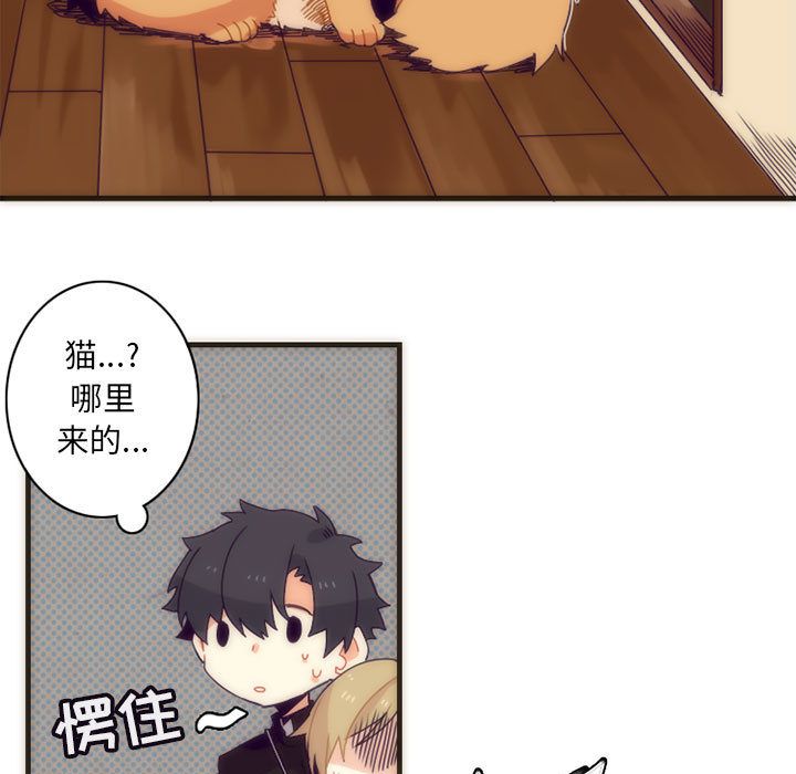 神父的病历簿神父的病历簿：5P13