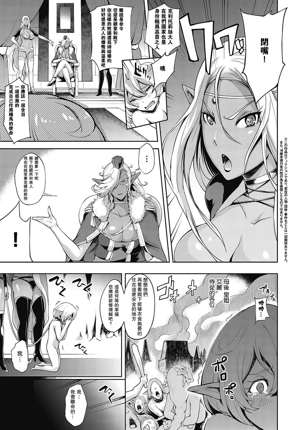 亡国の殿下全集P3