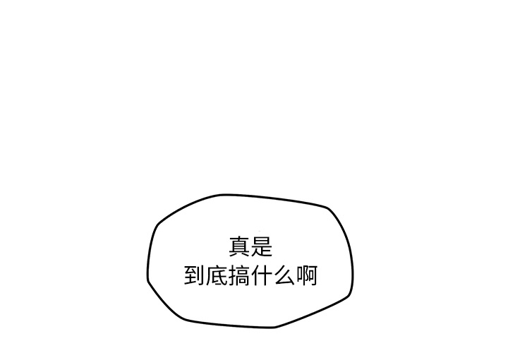 小白历险记N.E.R.D秘密组织：29P1