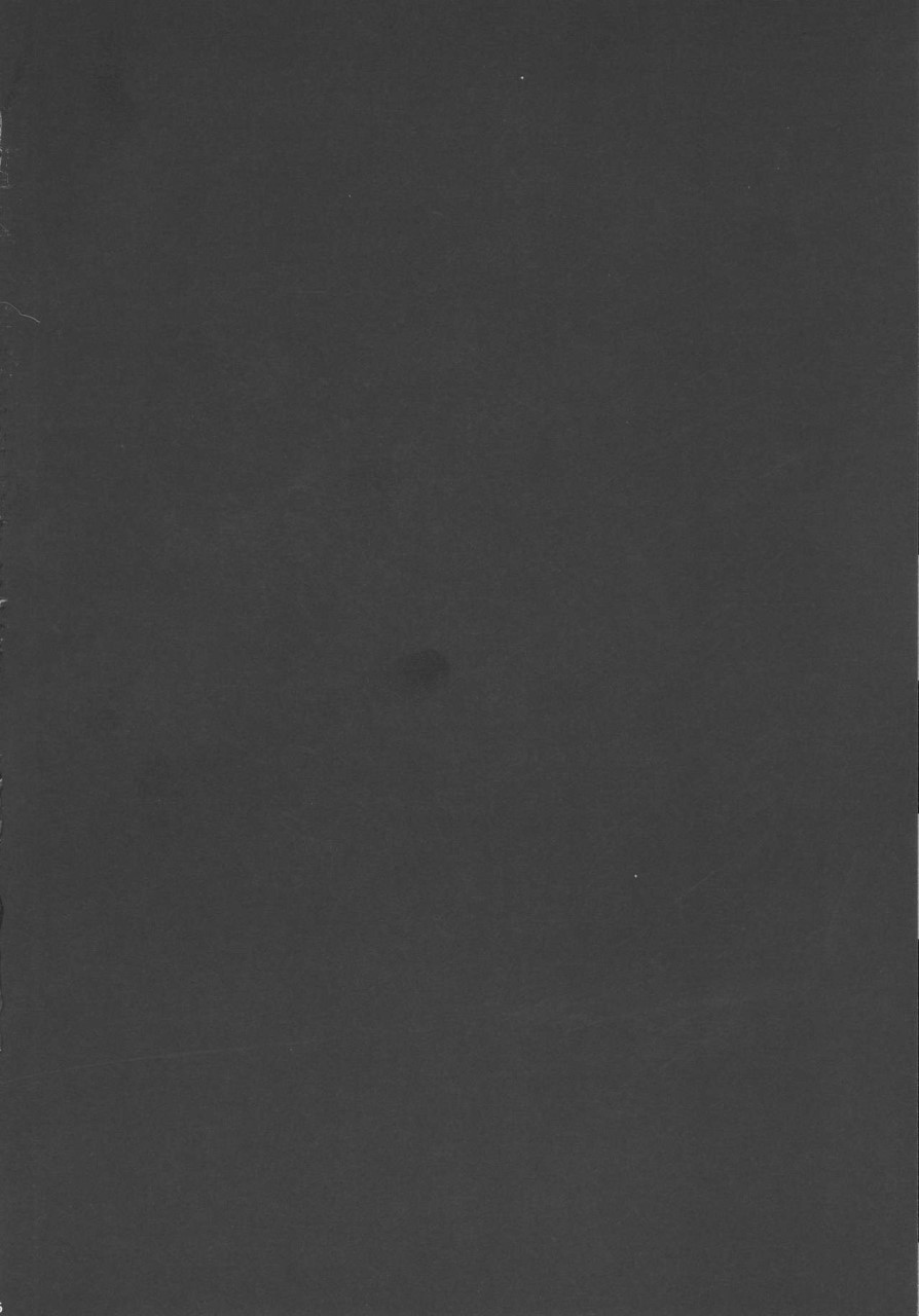 (C90) [Yokohama Junky (魔狩十織)] ソロハンター達の生態 (モンスターハンター) [中国翻訳]全集P6