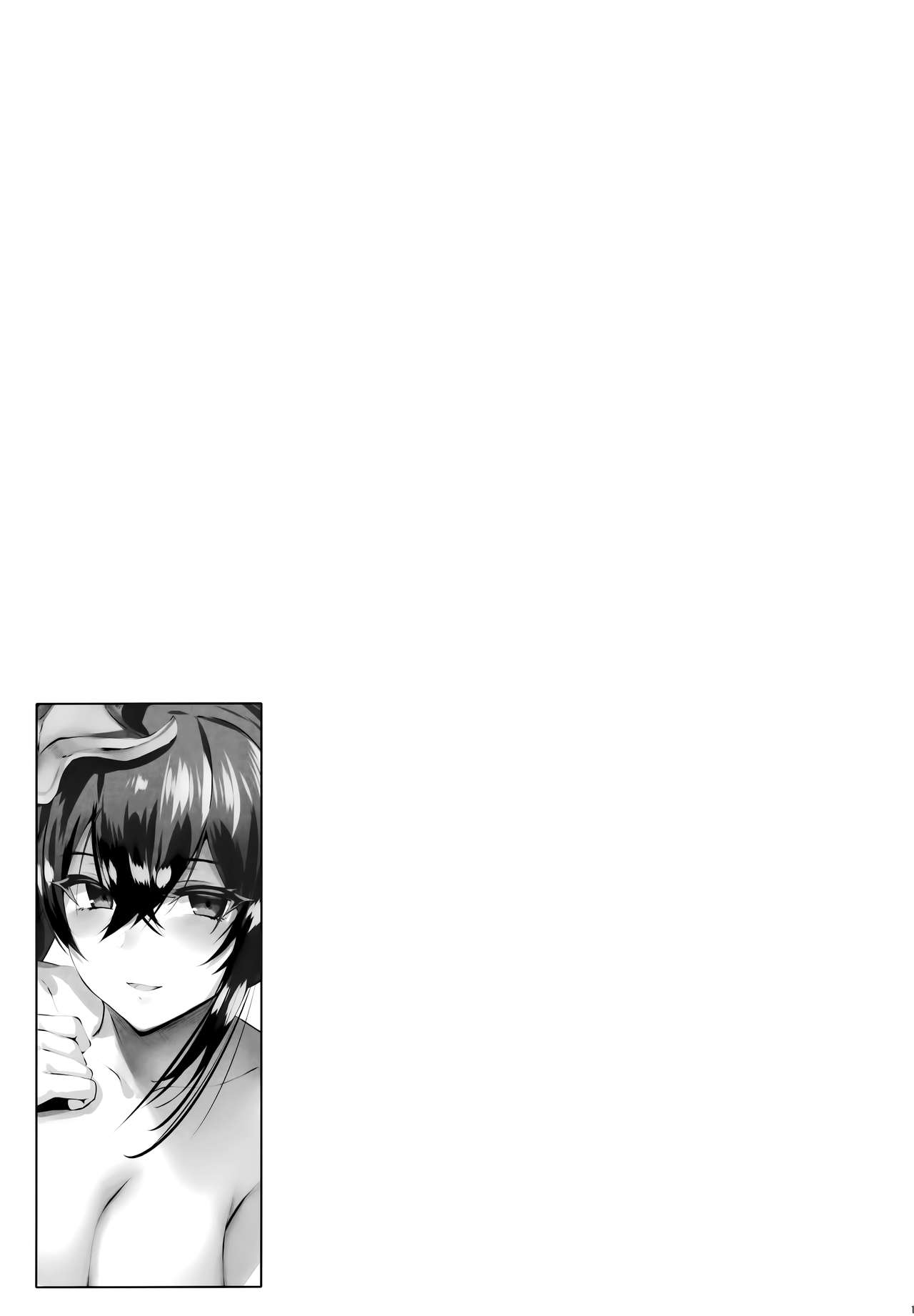 Zurifunction全集P13