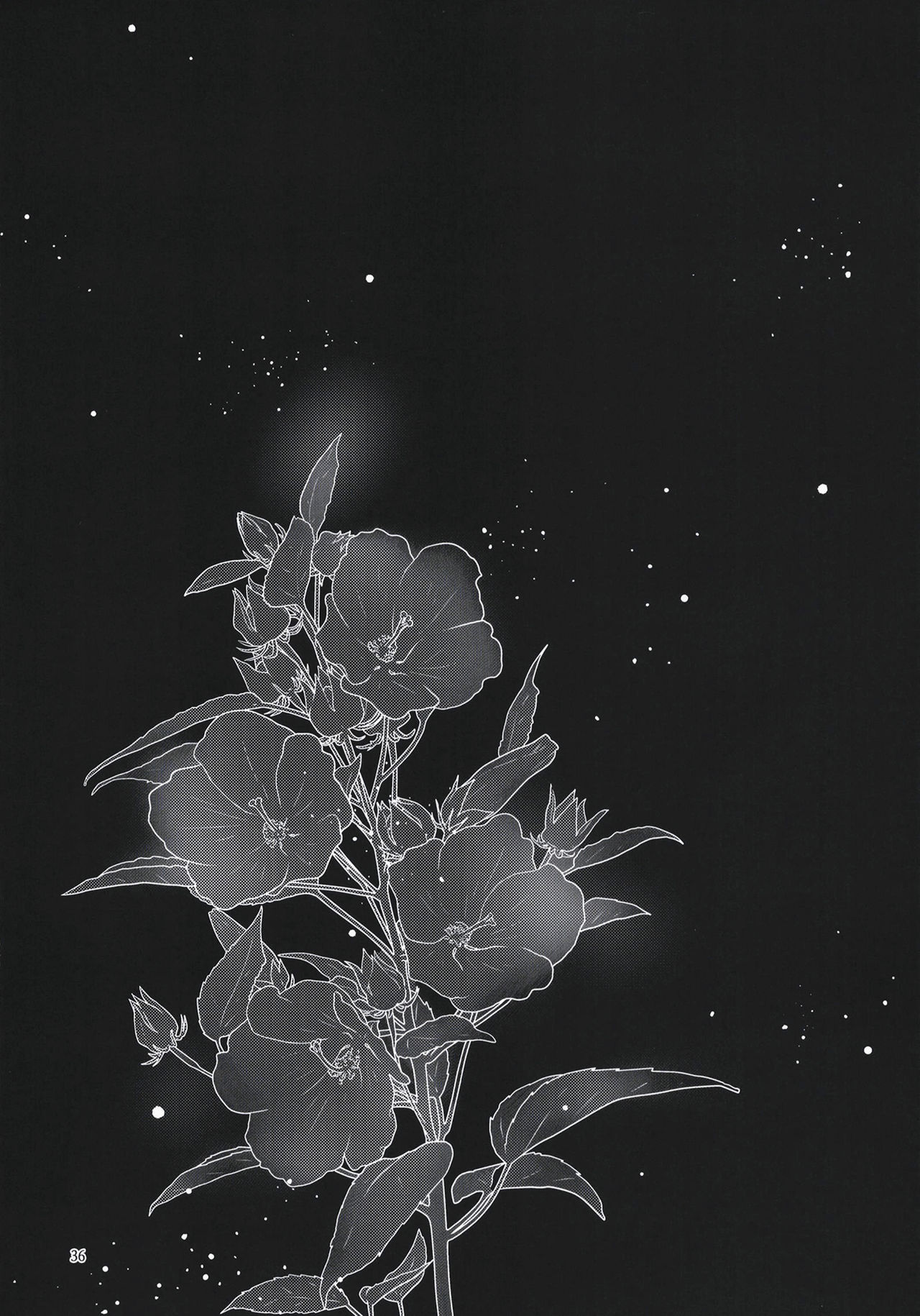 蝶屋敷へようこそ全集P37