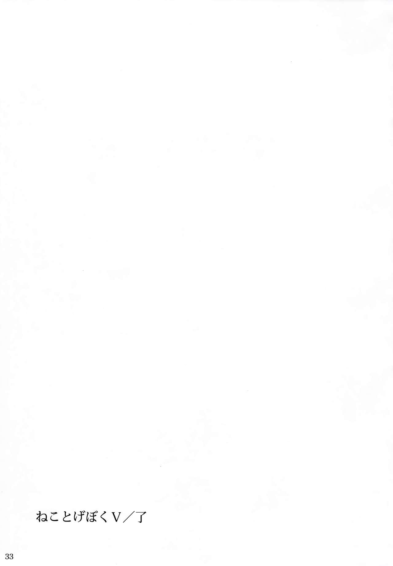 ねことげぼくV全集P33