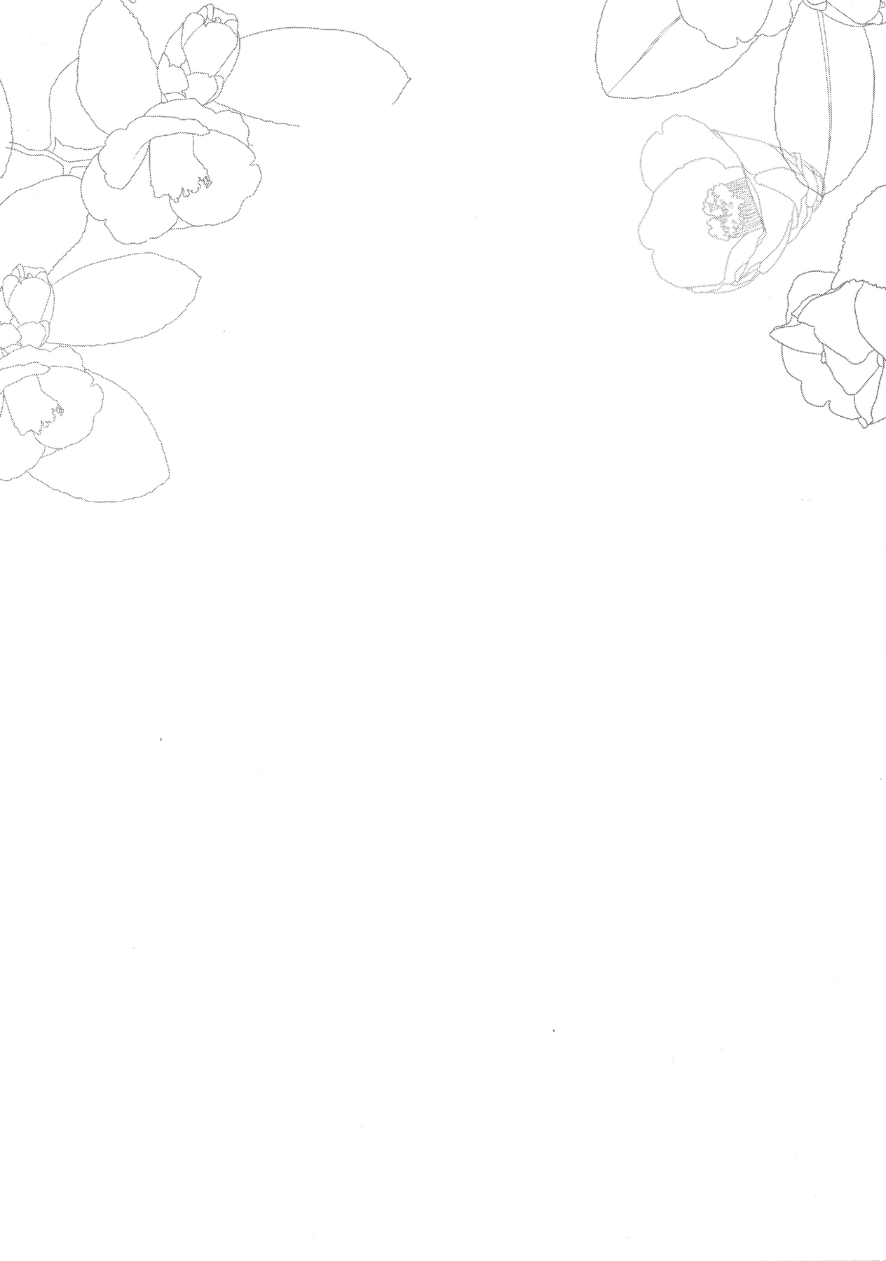 姉なるもの 4全集P4