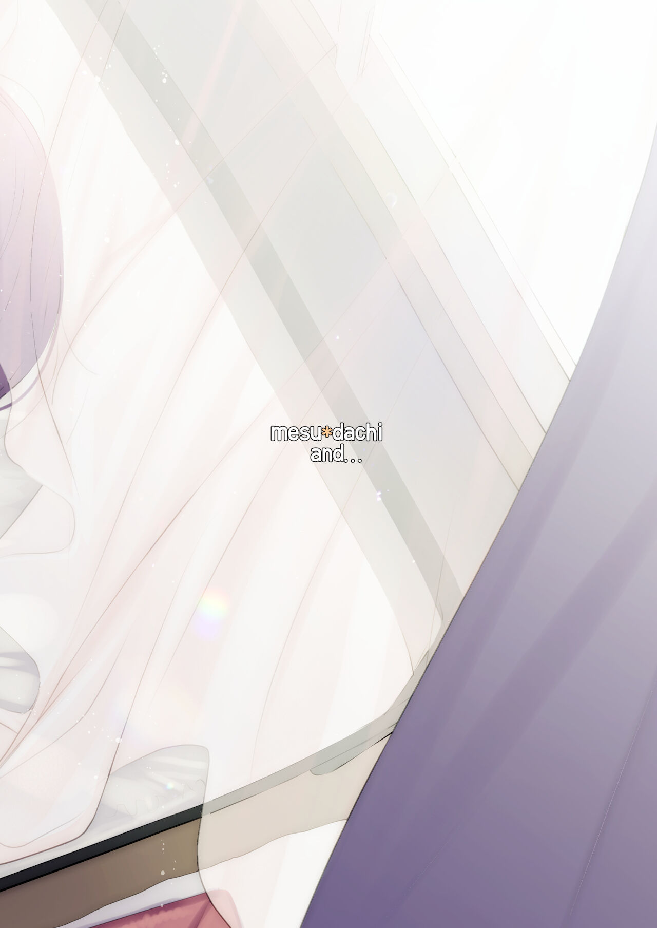 メスダチと全集P33