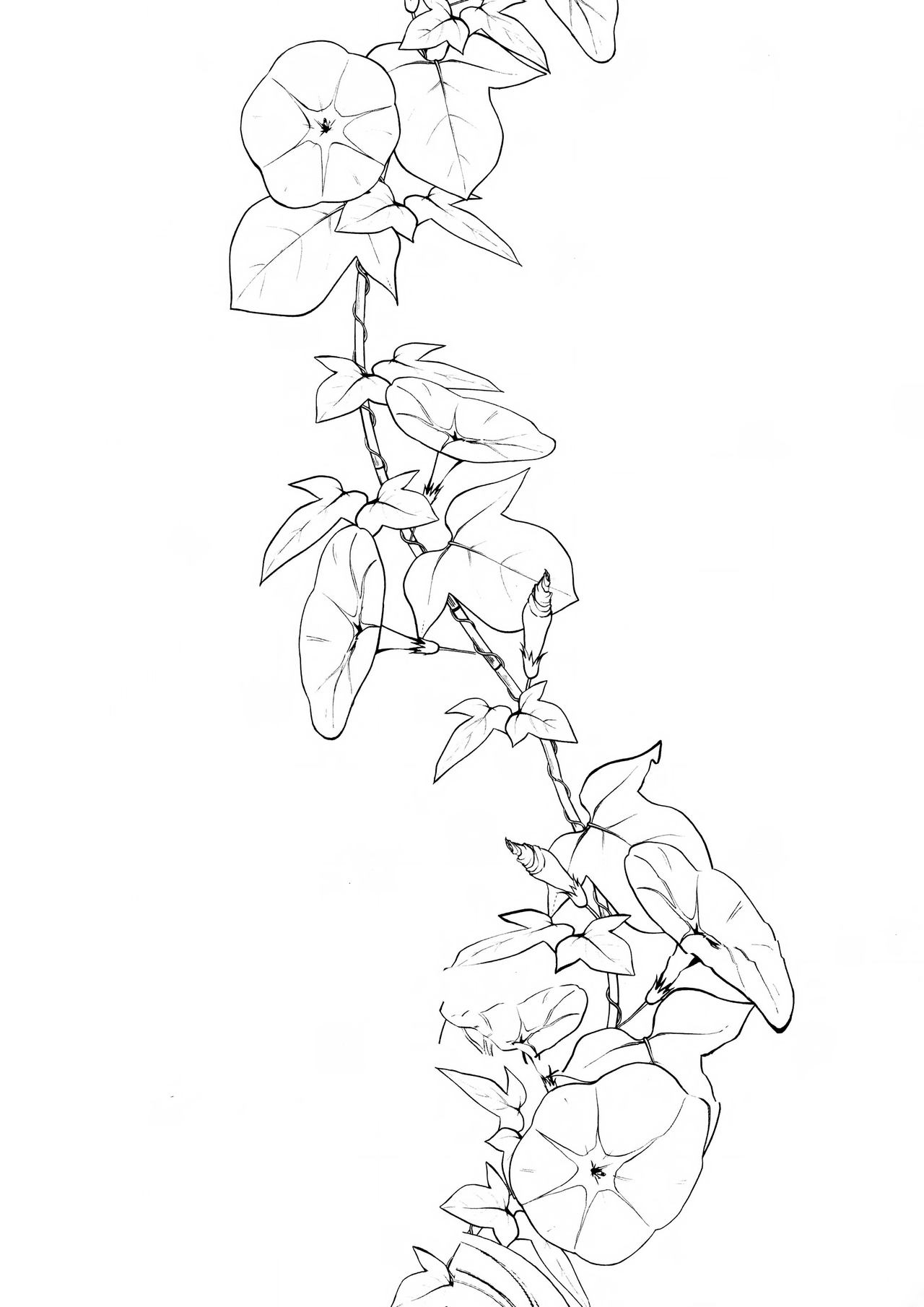 姉なるもの 5全集P3